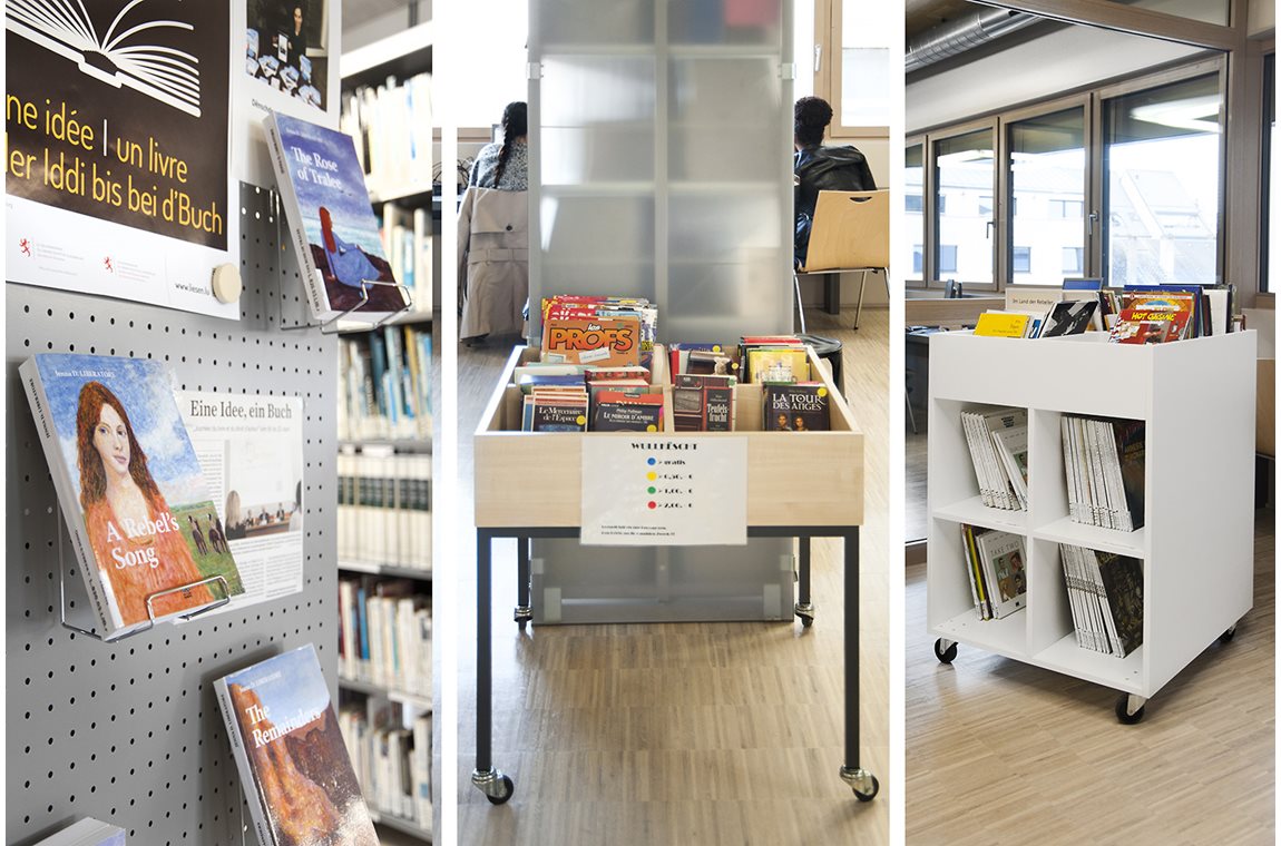 Fieldgen Private School, Luxembourg - School libraries
