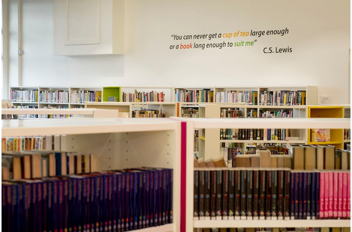 Openbare bibliotheek te Denny, Verenigd Koninkrijk - Openbare bibliotheek