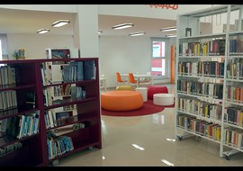falco_marin_public_library_it_006.jpg