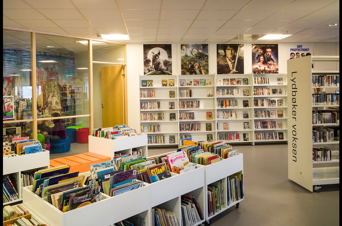 Nes folkbibliotek, Norge - Offentliga bibliotek