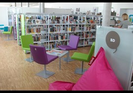 bibliotheque_du_9e_la_duchere_fr_018.jpg