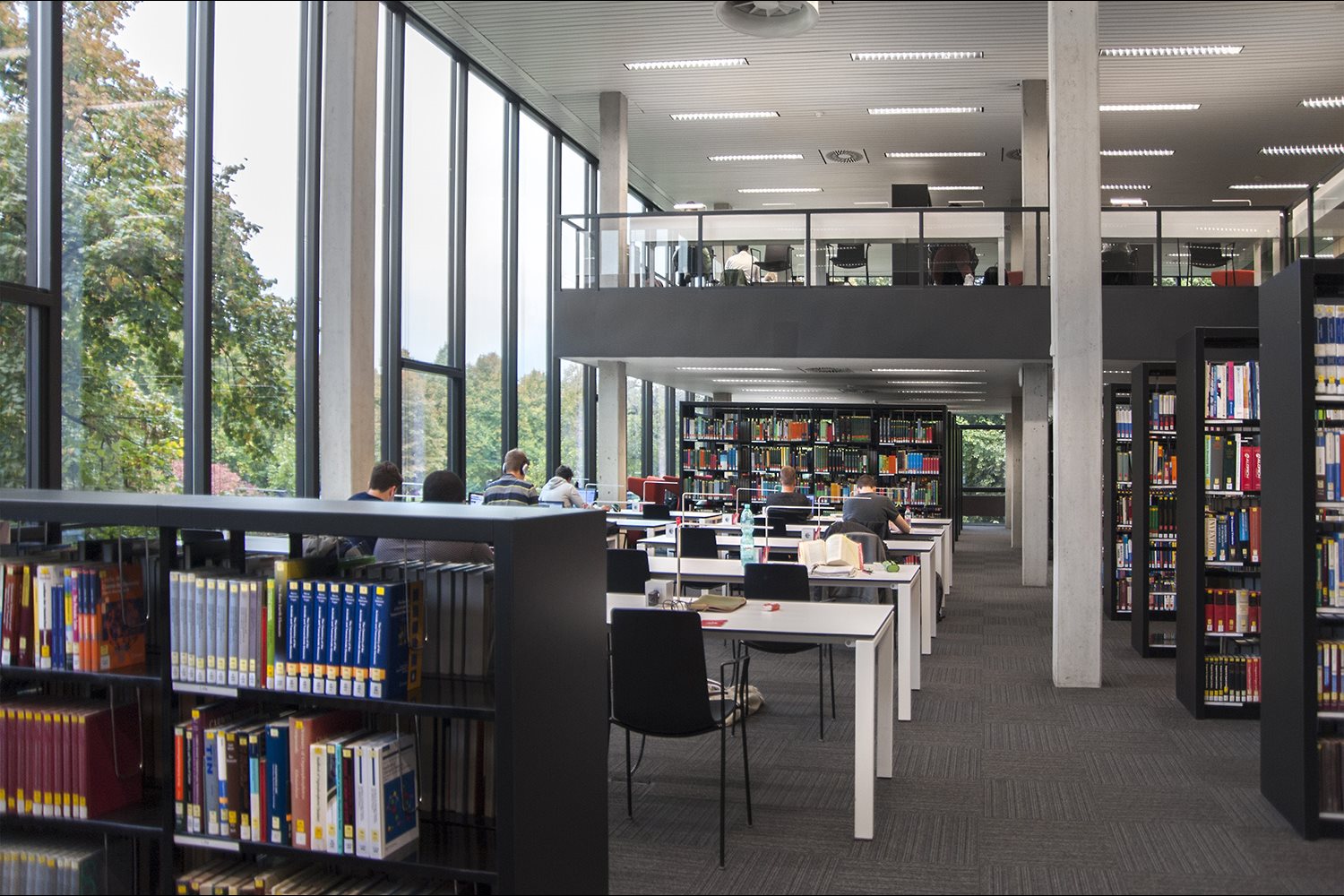 phd in library science in germany