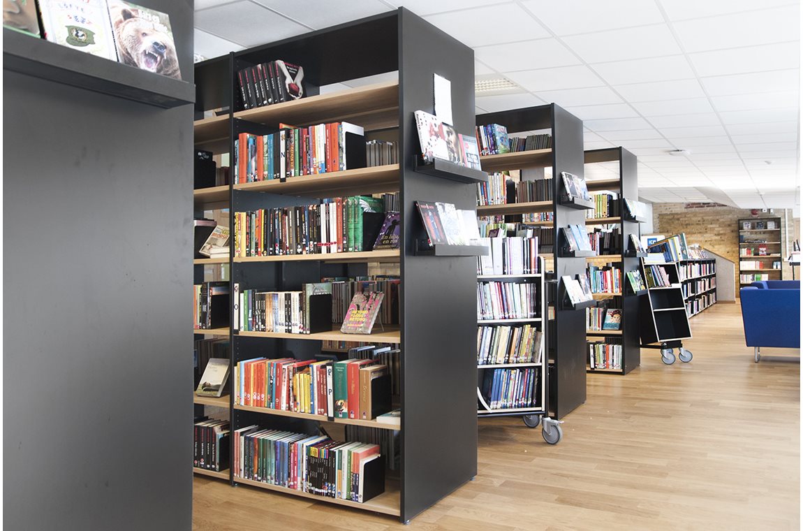 Malmö Munkhätteskolan, Sverige - Skolbibliotek