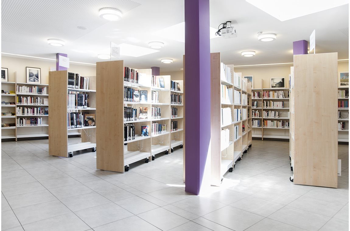 Léglise Public Library, Belgium - Public libraries