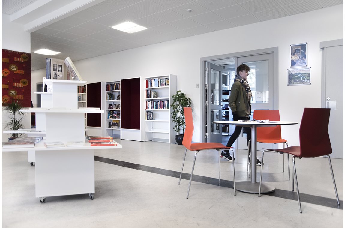 Maribo School, Denmark - School library