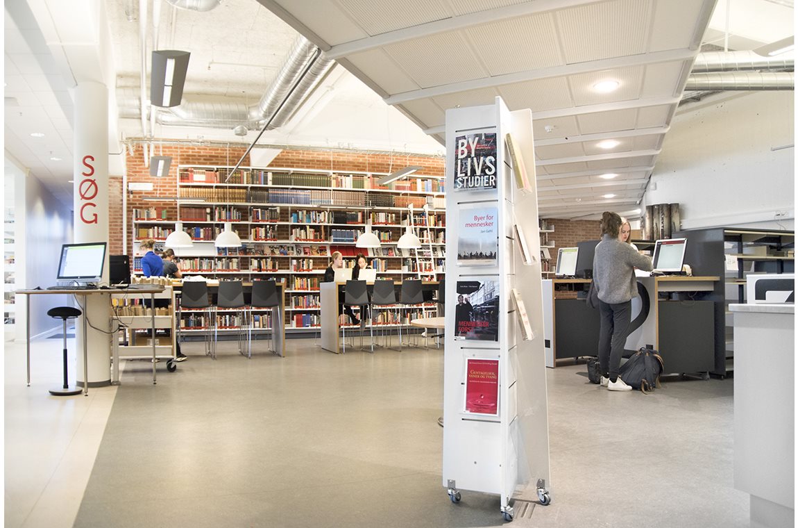 Kantonsschule Greve, Dänemark - Schulbibliothek