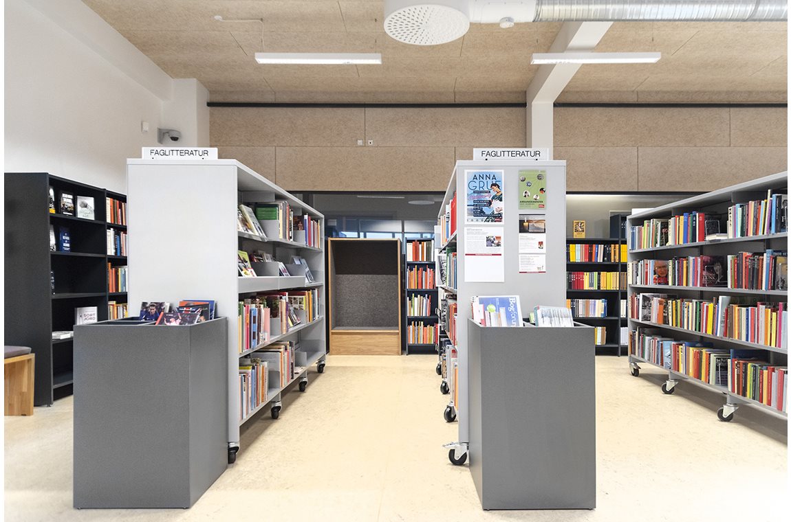 Bibliothèque municipale de Gram, Danemark - Bibliothèque municipale