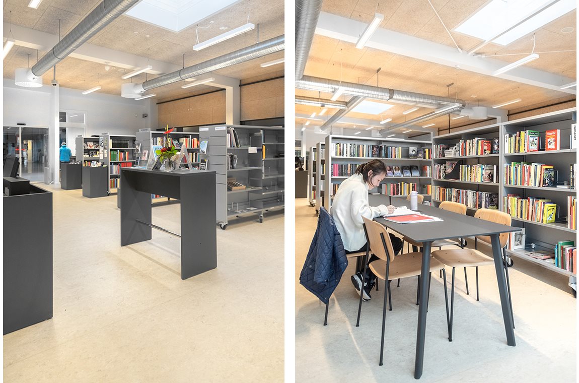 Bibliothèque municipale de Gram, Danemark - Bibliothèque municipale