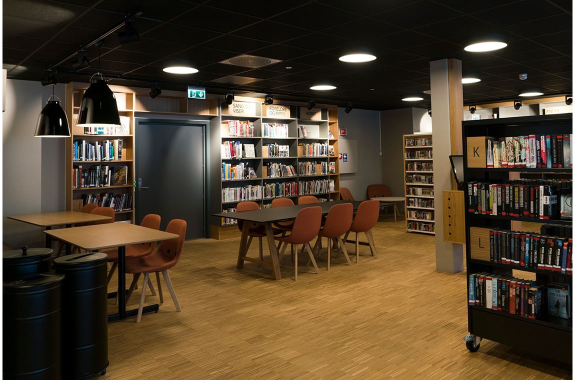 Longyearbyen bibliotek, Norge - Offentliga bibliotek