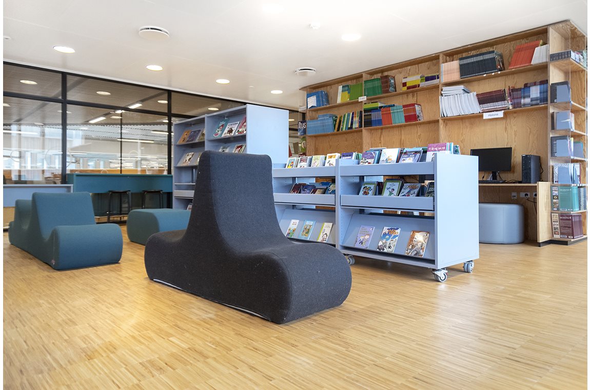 Skolen i Sydhavnen, Copenhagen, Denmark - School libraries