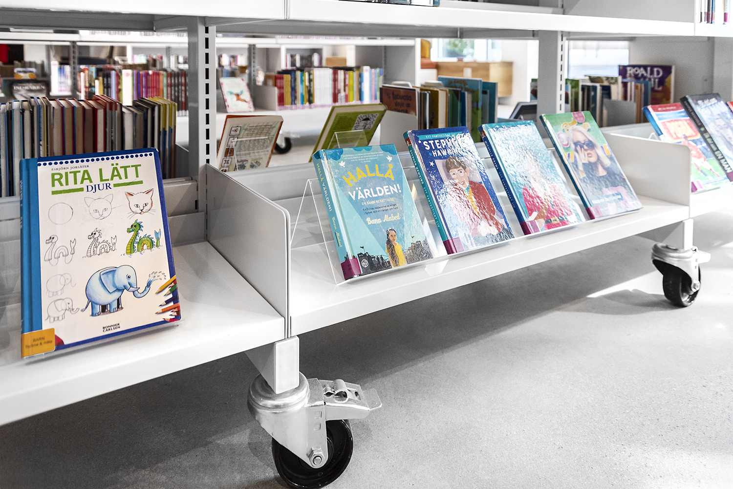 Stackable Acrylic Book Stand