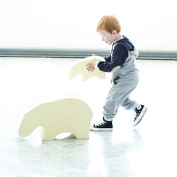 E2481 - Polar bear