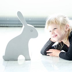 E2482 - Hase