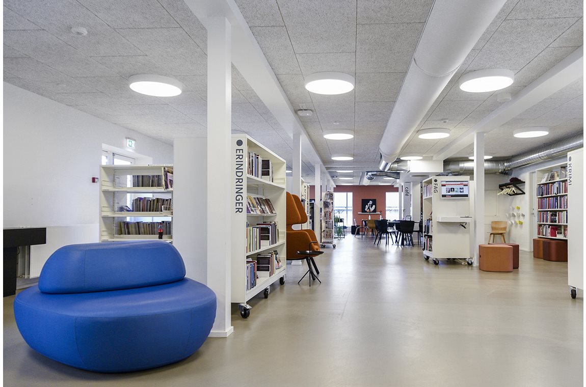 Them Public Library, Denmark - Public libraries