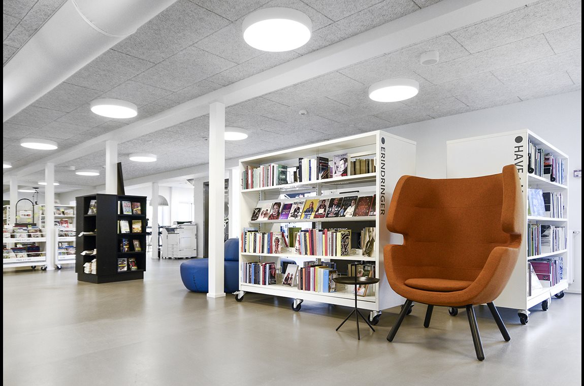 Them bibliotek, Danmark - Offentliga bibliotek