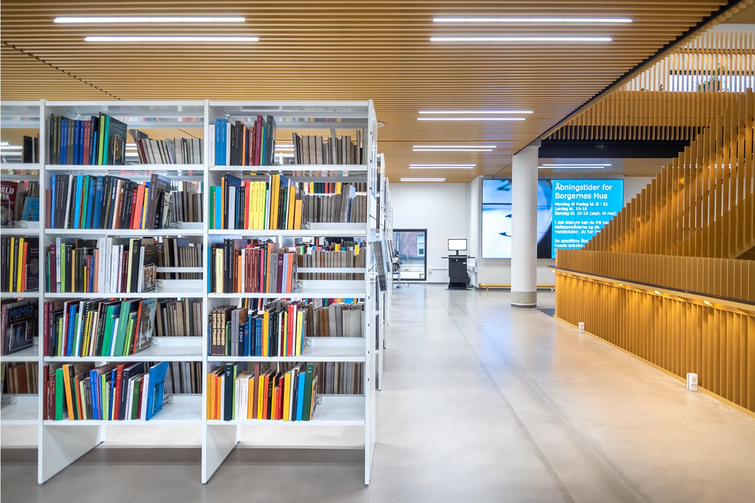 lave et eksperiment støn Sælger Odense Bibliotek, Denmark