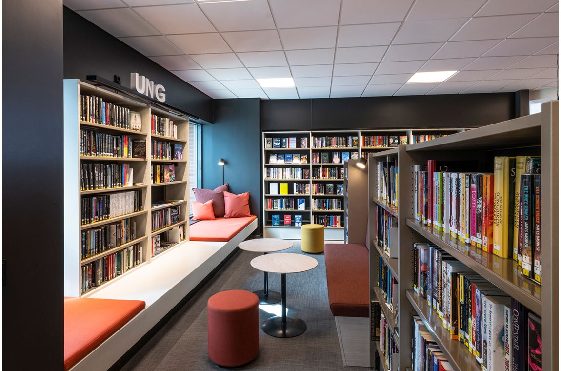 Ål bibliotek, Norge - Offentliga bibliotek