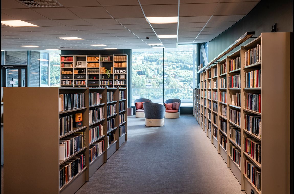 Bibliothèque municipale de Ål, Norvège - Bibliothèque municipale et BDP