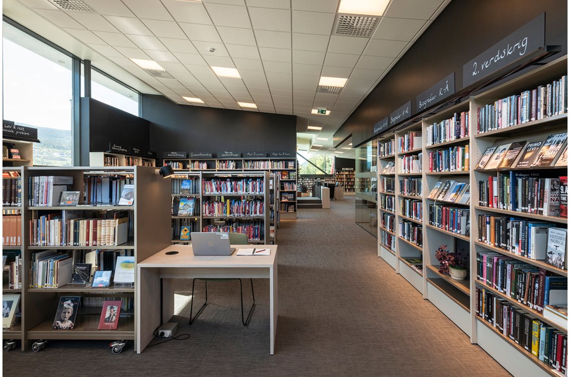 Ål Bibliotek, Norge - Offentligt bibliotek
