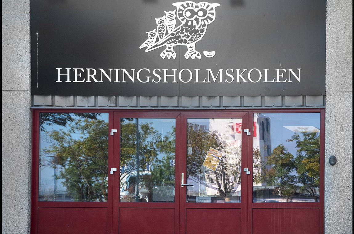 Herningsholmskolen, Dänemark - Schulbibliothek