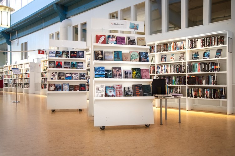 Say "A" mobiele display (Openbare bibliotheek Sala, Zweden)