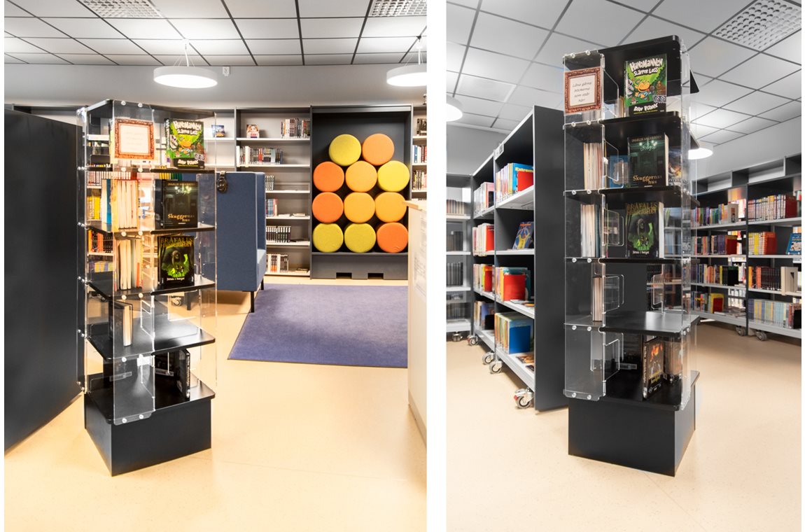 Johan Skytteskolan, Sweden - School libraries
