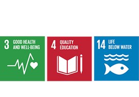 UN Goals HabiCave_UK.png