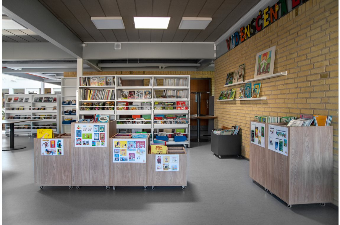 Susåskolen, Dänemark - Schulbibliothek