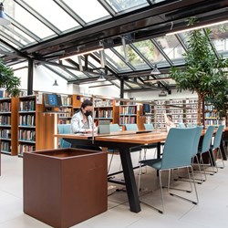 American University of Paris, Frankreich