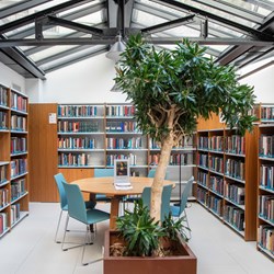 American University of Paris, Frankreich