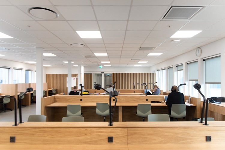 Biophilic materials and patterns