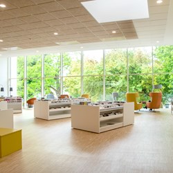 Conception de bibliothèque biophiliques
