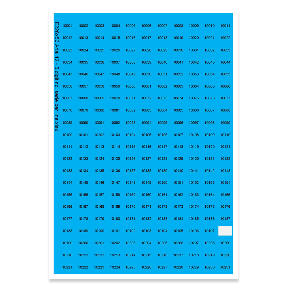 E226250 - Getallenreeks, max 5 tekens (lettertype: Arial 12)