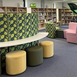 Bibliothèque Virginia, Cavan, Ireland
