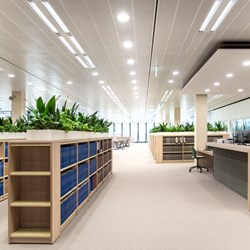 Planter og naturudsigt