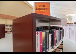 lapplands_gymnasium_kiruna_school_library_se_015.jpeg