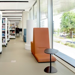 Toulouse Bibliotek, Frankrig