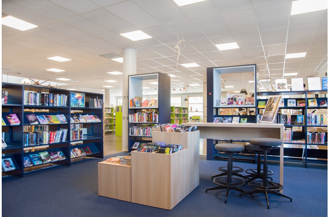 Bibliothèque municipale de Norrtälje, Suède - Bibliothèque municipale et BDP